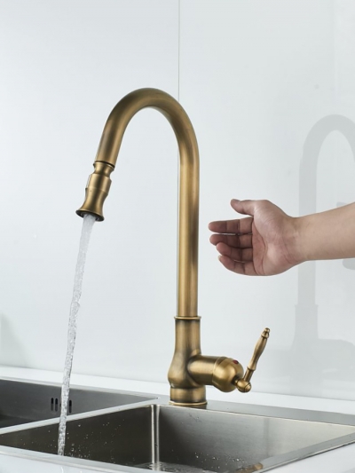 Смеситель для кухни Aurelia с гибким изливом-4